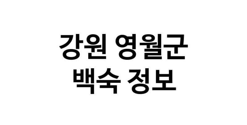 NaVET | 팥빙수 맛있는곳 추천 강원 평창군 디저트카페 팥빙수맛있는집 옛날팥빙수 빙수전문점 팥빙수잘하는집 빙수맛집