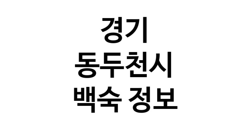 NaVET | 팥빙수 맛있는곳 추천 경기 안산시 디저트카페 팥빙수맛있는집 옛날팥빙수 빙수전문점 팥빙수잘하는집 빙수맛집