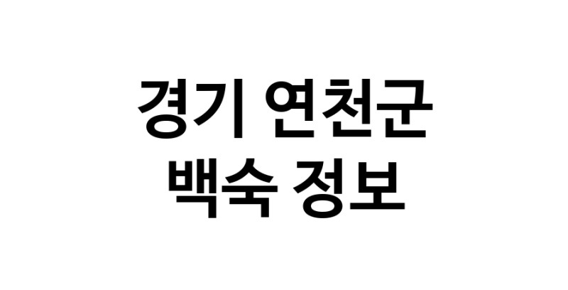 NaVET | 팥빙수 전문점 추천 경기 평택시 디저트카페 팥빙수맛있는집 옛날팥빙수 빙수전문점 팥빙수잘하는집 빙수맛집